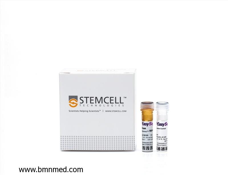 EasySep™ Human CD4+ T Cell Isolation Kit 8-Minute cell isolation kit using immunomagnetic negative selection